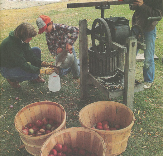 How to Build a DIY Fruit Press